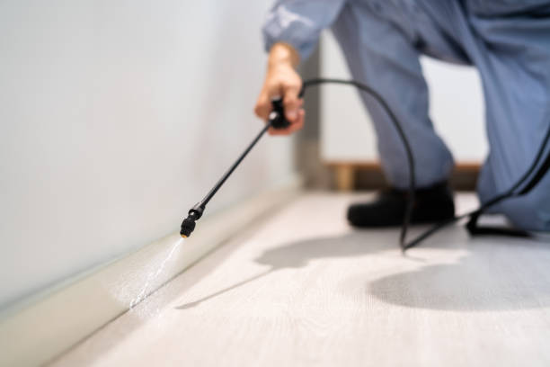 Licensed Mosquito Control service in St. Louis, MI - Show Me Pest Control