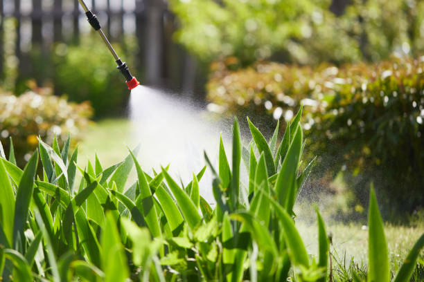 24/7 Emergency Mosquito Control experts in St. Louis, MI