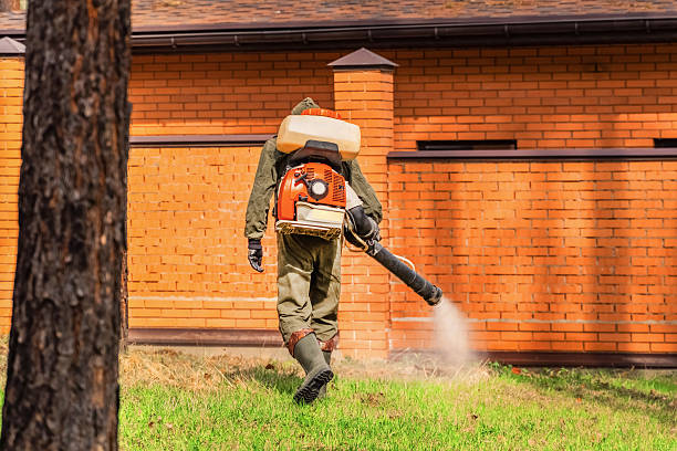 Top rated local Mosquito Control specialists in St. Louis, MI